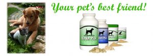 Nuvet Holistic Supplements for your pet