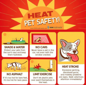 Heat Pet Safety