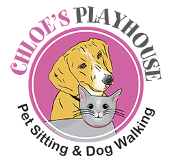 Chloe's Playhouse