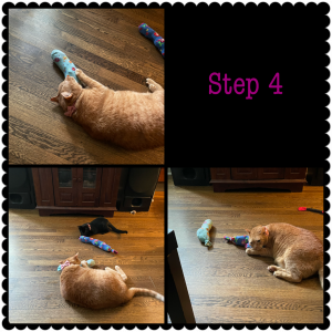 DIY Catnip Toys Step 4